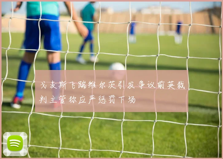 戈麦斯飞踹维尔茨引发争议前英裁判主管称应严惩罚下场
