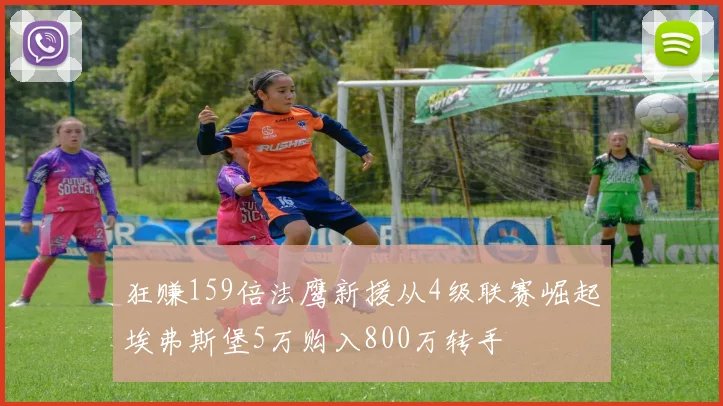 狂赚159倍法鹰新援从4级联赛崛起埃弗斯堡5万购入800万转手